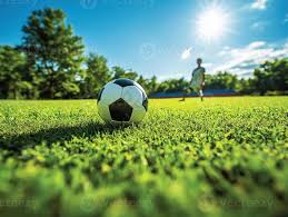 足球球迷观赛场景